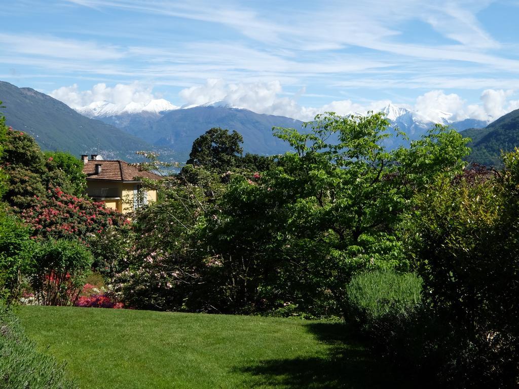 Park Hotel Villa Belvedere Cannobio Exterior photo