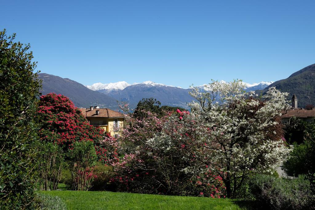 Park Hotel Villa Belvedere Cannobio Exterior photo