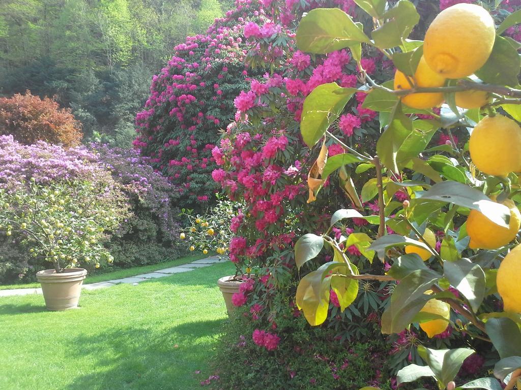 Park Hotel Villa Belvedere Cannobio Exterior photo